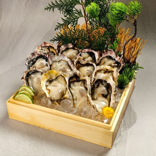 Picture of Harima Oyster-12pcs